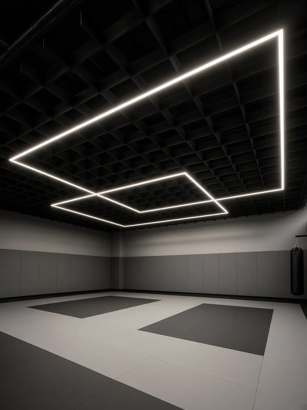 LED ceiling lighting in a commercial gym